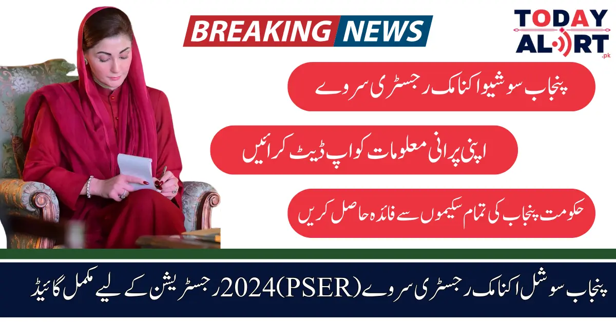 Punjab Socio-Economic Registry Survey (PSER) 2024 - Complete Guide to Registration