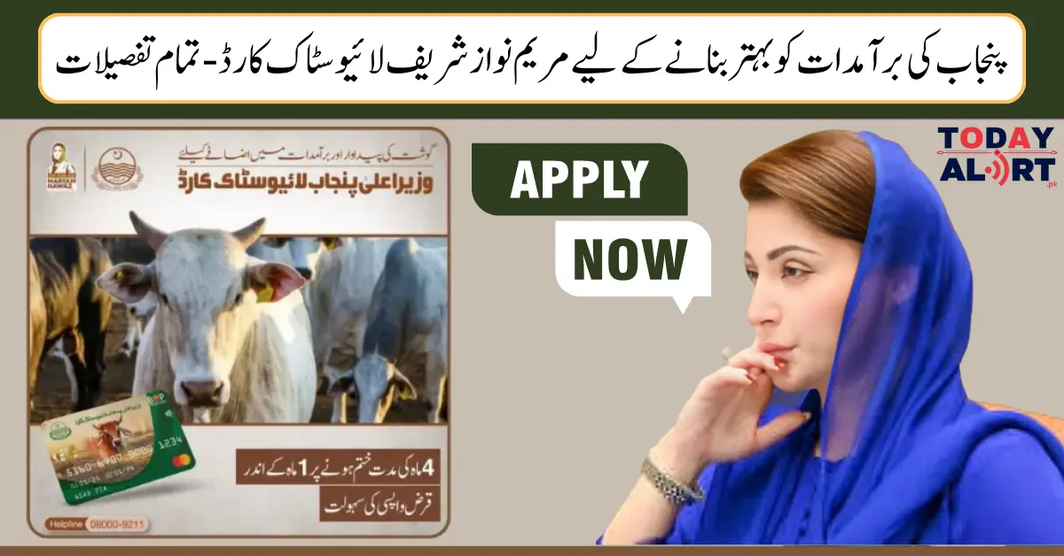 Maryam Nawaz Sharif Livestock Card To Improve Export of Punjab - All Details