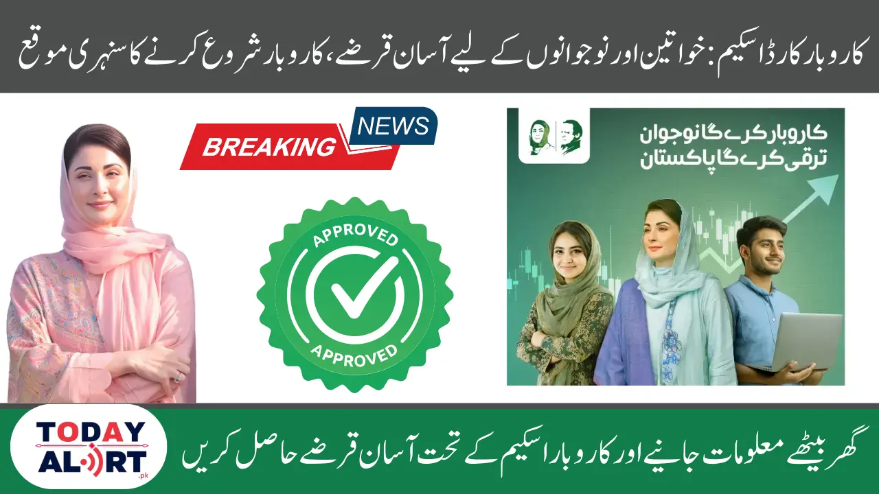 Flexible Repayment Terms in Maryam Nawaz Youth Karobar Card Loan Scheme Explained