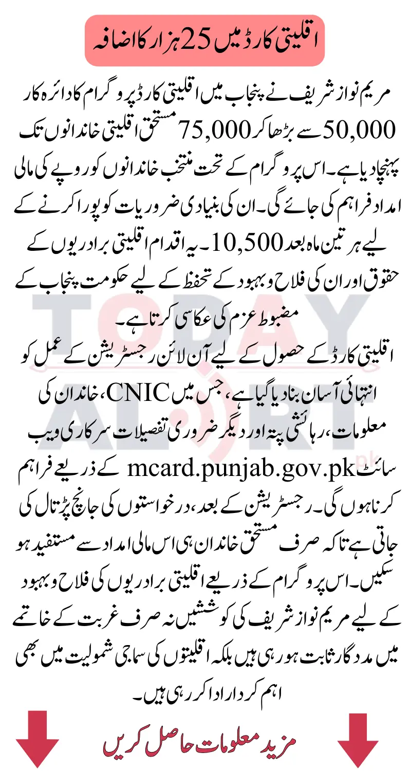 What is the Punjab Minority Card?