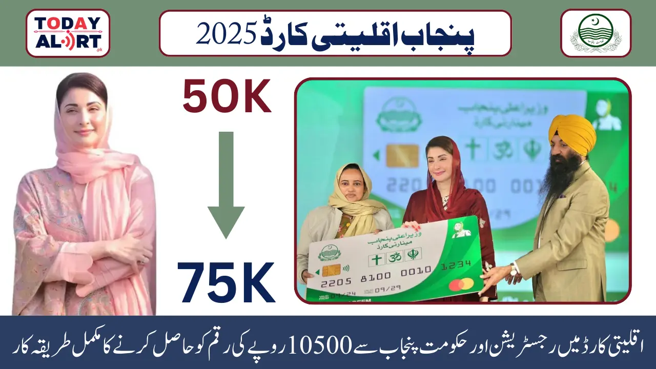 mcard punjab gov pk Portal For Minority Community to Get Registration in Punjab Minority Card 2025