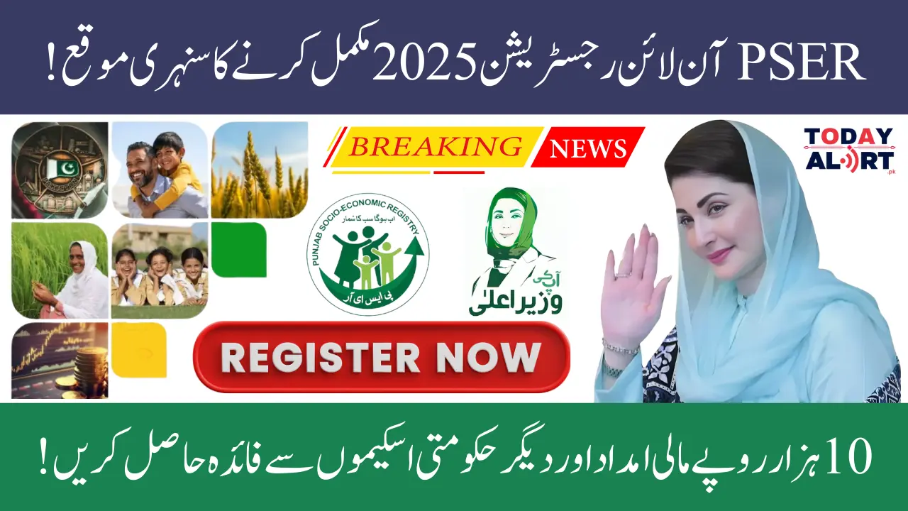 PSER Online Registration 2025 - Register Now to Qualify for Punjab Welfare Programs Along Benefits