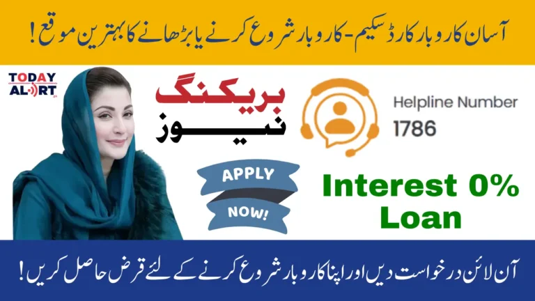 Top 4 Features of Punjab Asaan Karobar Card Scheme for Small Businesses - FAQs and Registration Process